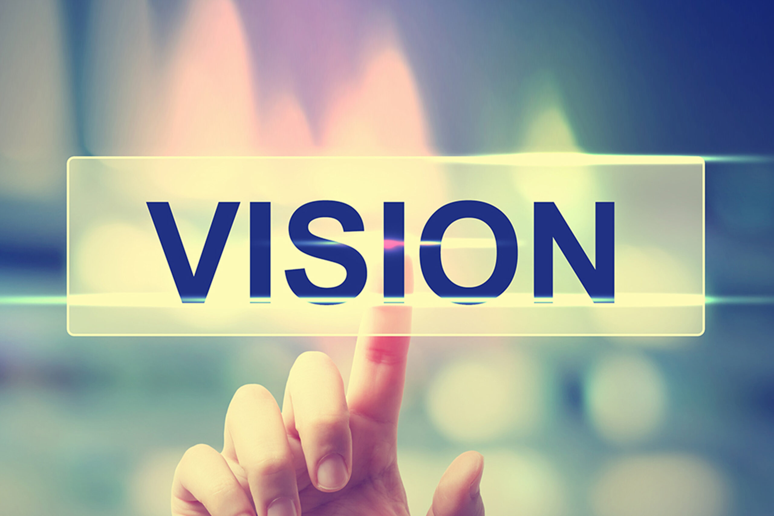 Vision1